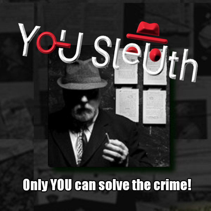 You Sleuth Customer Photo